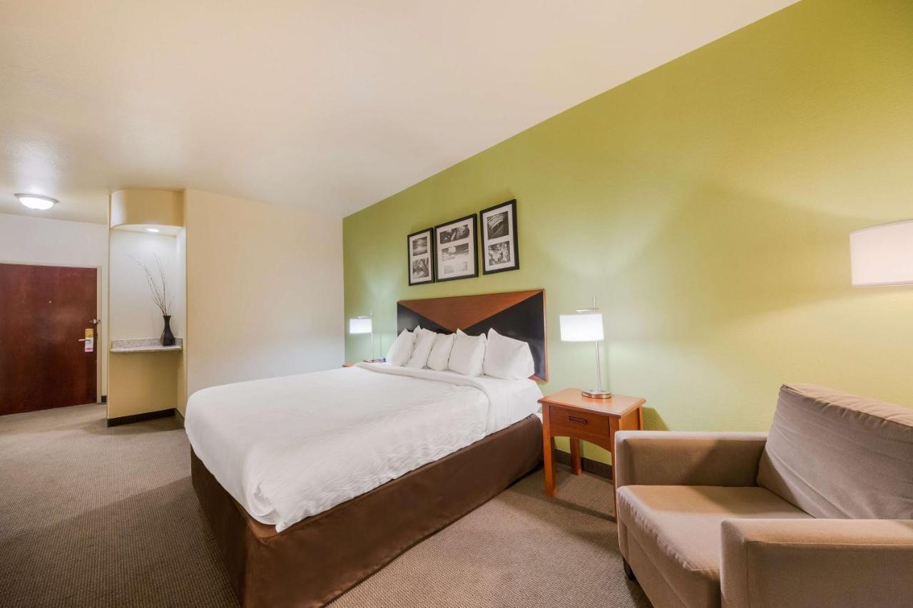 Surestay Plus Hotel By Best Western Near Seaworld San Antonio Eksteriør billede
